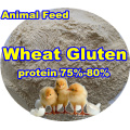 Weizengluten (Protein75-80) für Futterzusatzstoffe